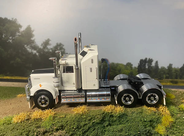 1/50 W900 White / Black with Spiders